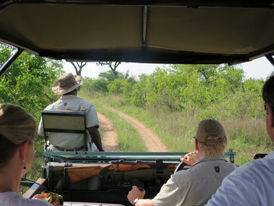 The view from the back., Kruger, South Africa 2013